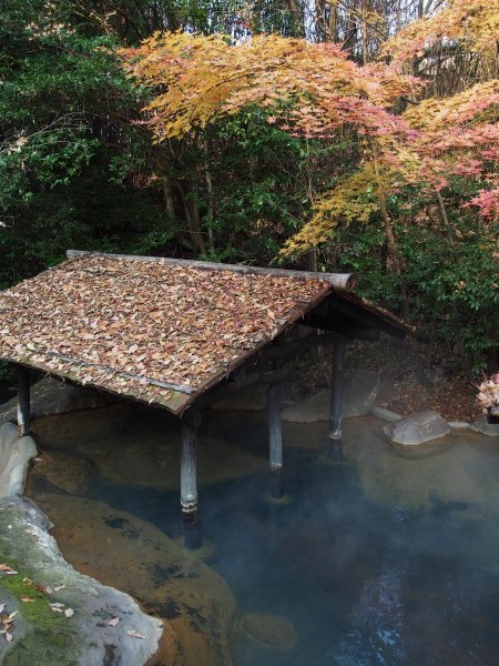 露天の紅葉はまだまだ！