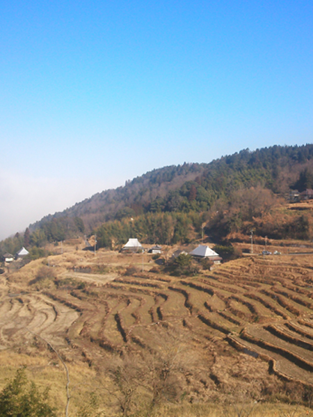 tanada