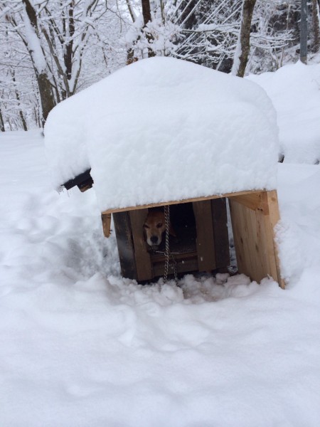 おとといの大雪はすごかった！