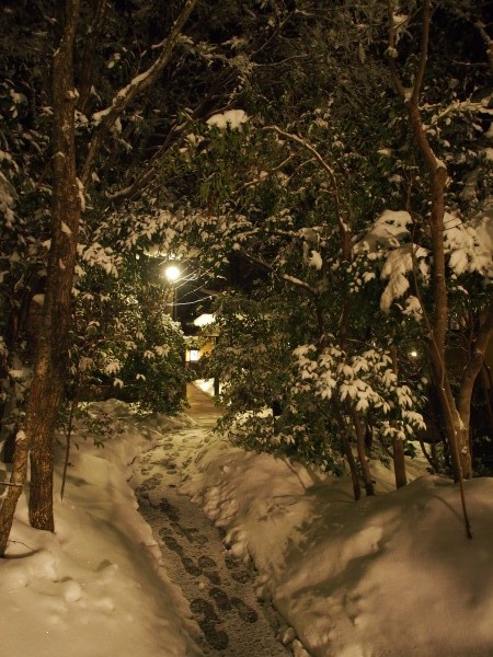 駐車場の雪かき