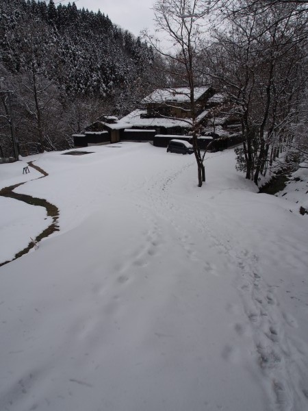 手つかずの雪