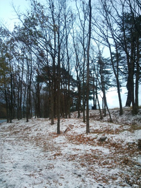 初雪です