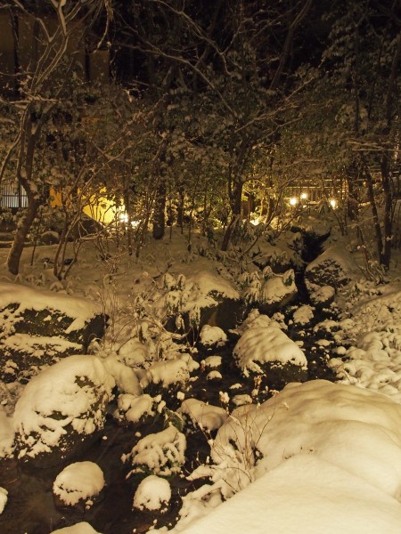 積雪10ｃｍです！