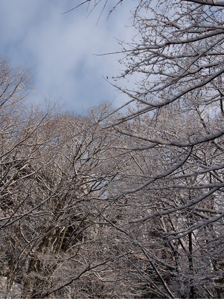 雪景色