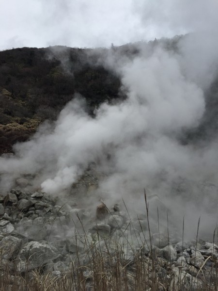 雲仙研修