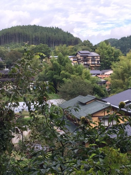 秋晴れの１日でした