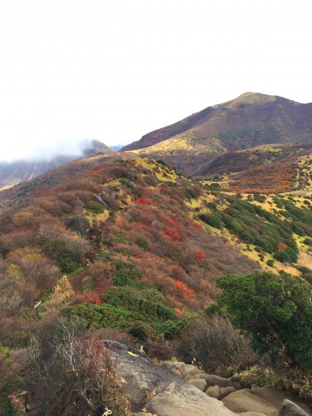 くじゅう登山