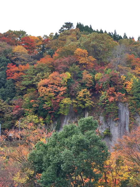 屏風岩の紅葉