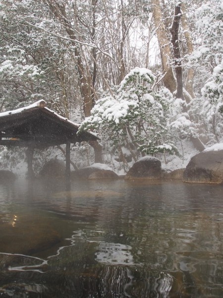 雪が降り続いております