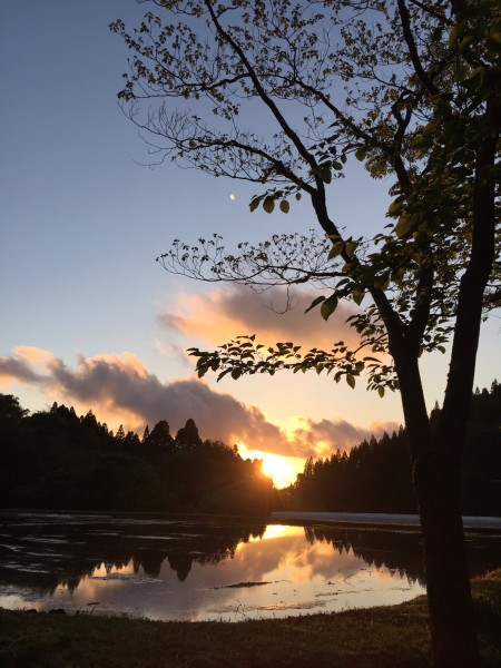 夕暮れのお散歩