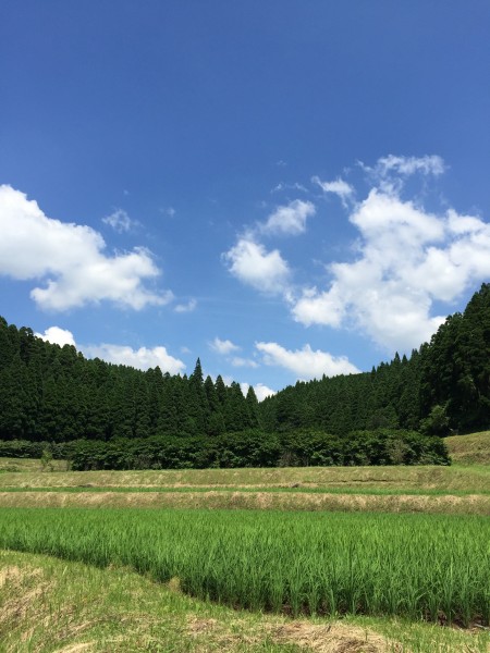 夏空