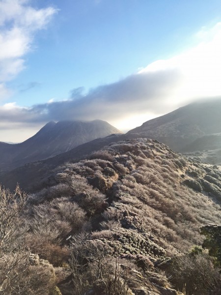 冬の久住山