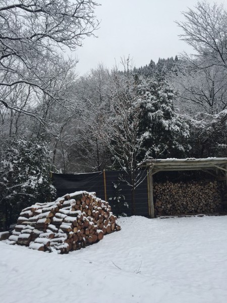 今週末、雪の予報です