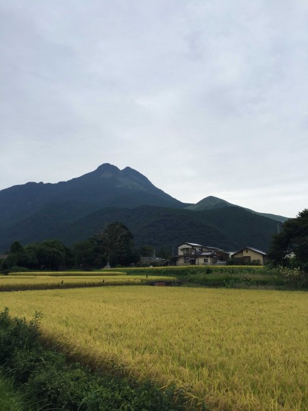 由布院へ