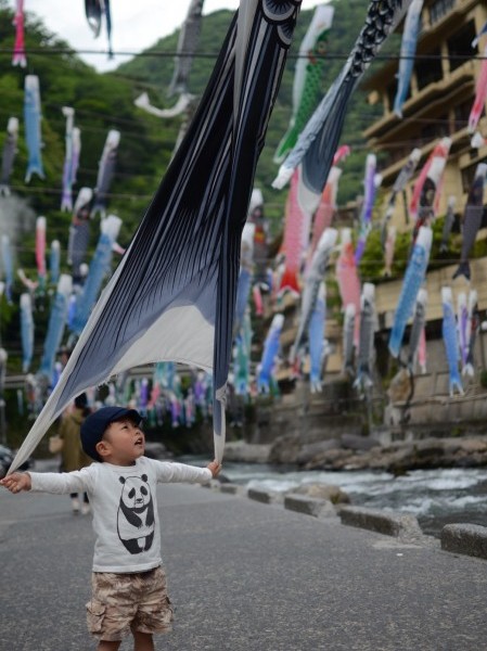 杖立温泉　鯉のぼり