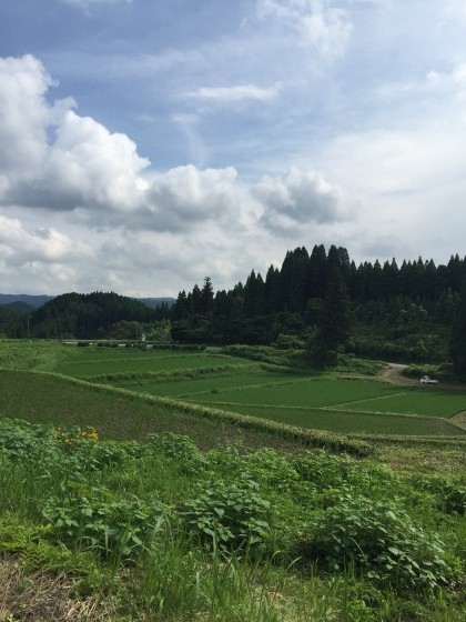 穏やかな天気です　Calm days