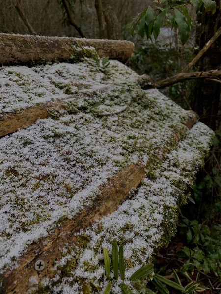 雪が舞い始めました