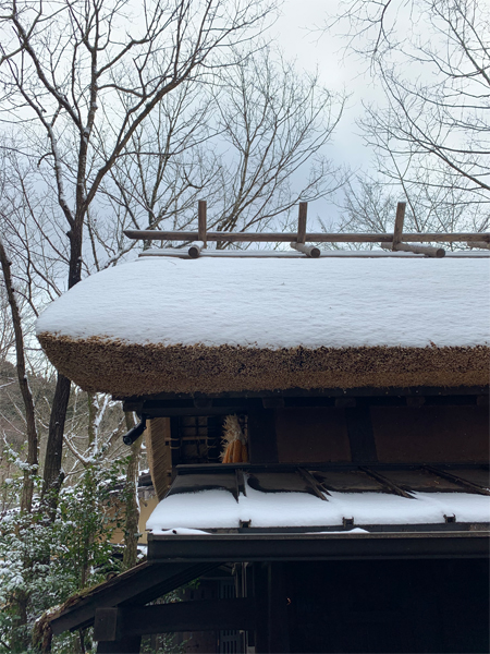 塩化物泉でウイルス予防！？