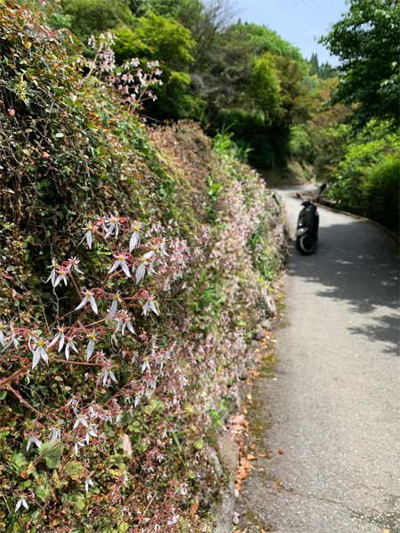 湯あかり撤去