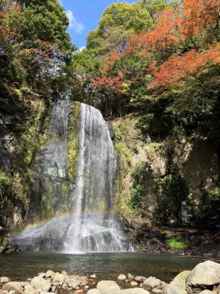 紅葉の「阿蘇レインボーバレー」