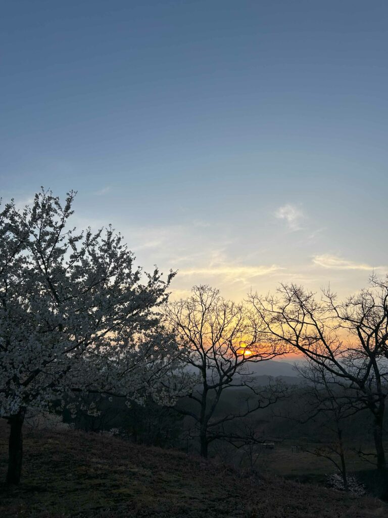 小萩山キャンプ