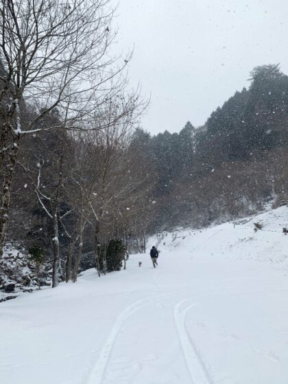 黒川温泉 積雪の状況