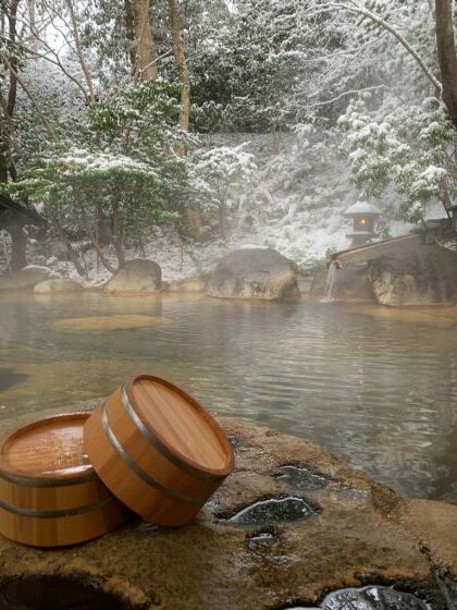 1月17日（月）18日（火）休館日のお知らせ